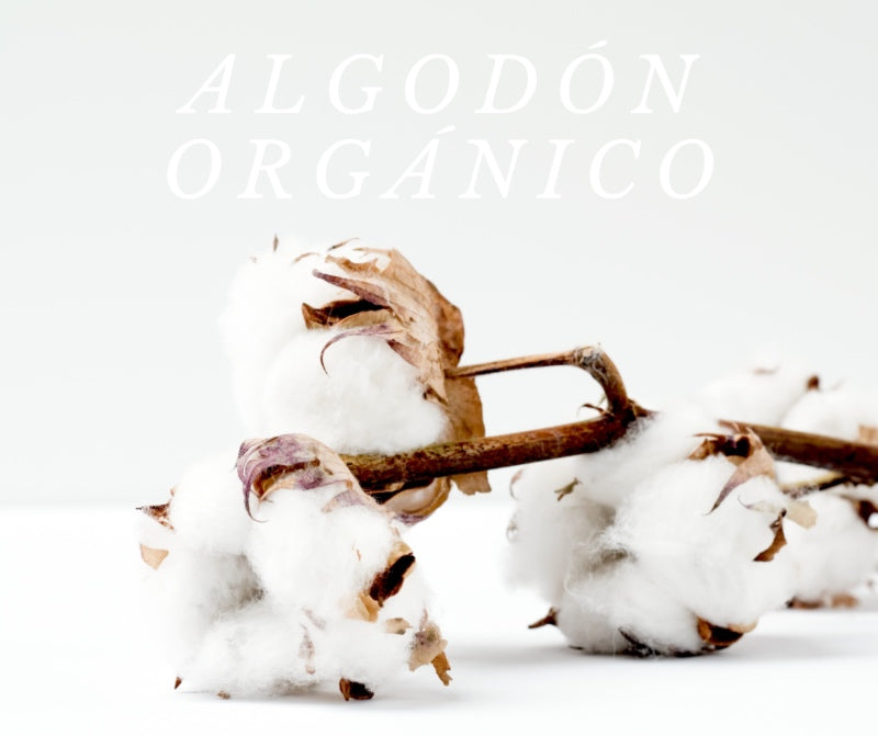 Algodón Orgánico