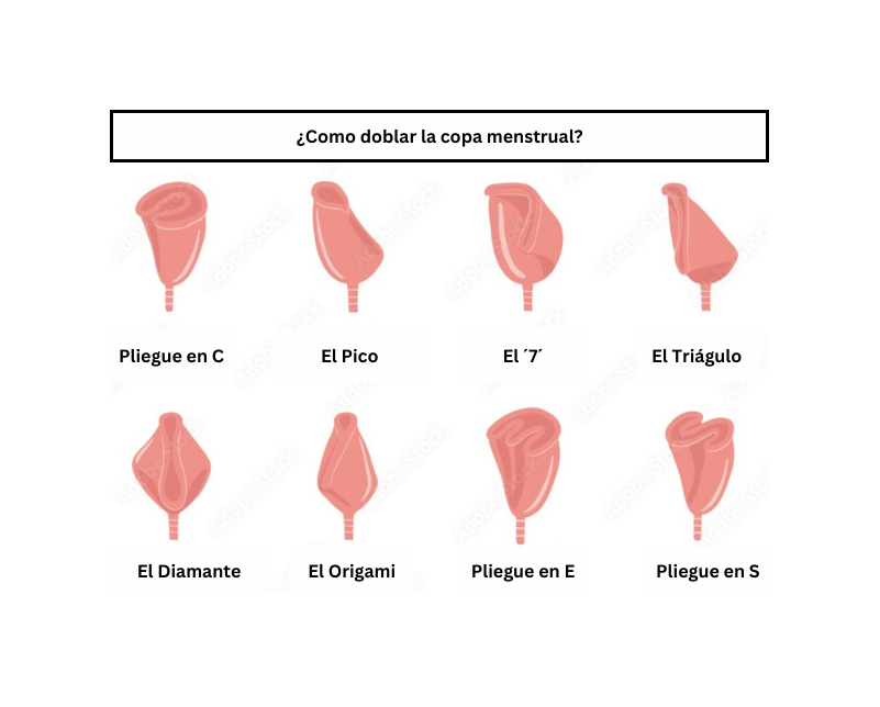Como doblar la copa menstrual 8 ocho pliegues 8 easy ways to fold your menstrual cup